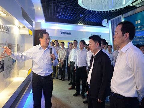 镇江市委书记夏锦文莅临龙8头号玩家股份视察