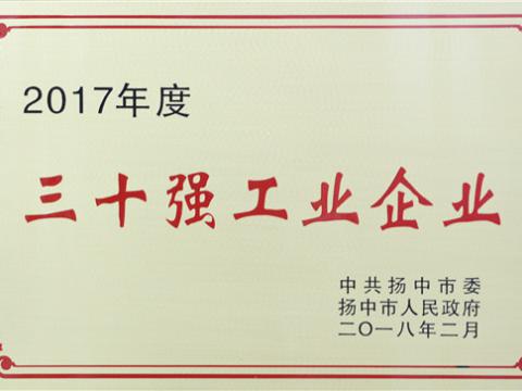 龙8头号玩家集团提升2017年度扬中市“三十强”前五位